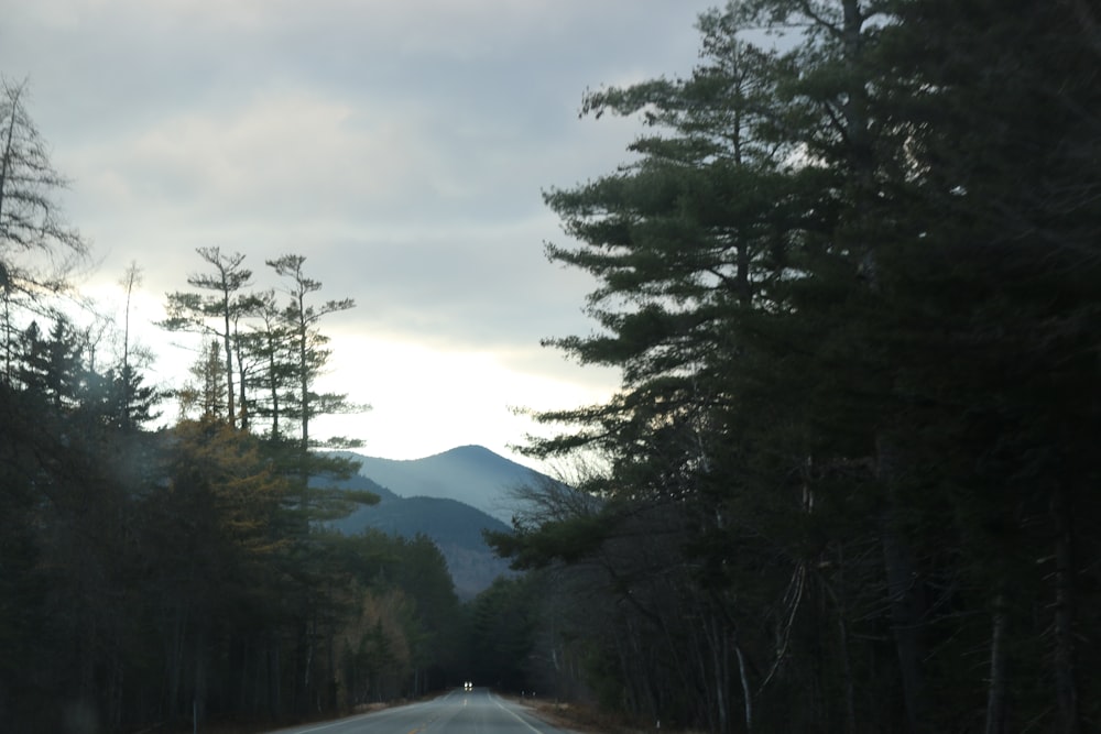 a car driving down a road surrounded by trees