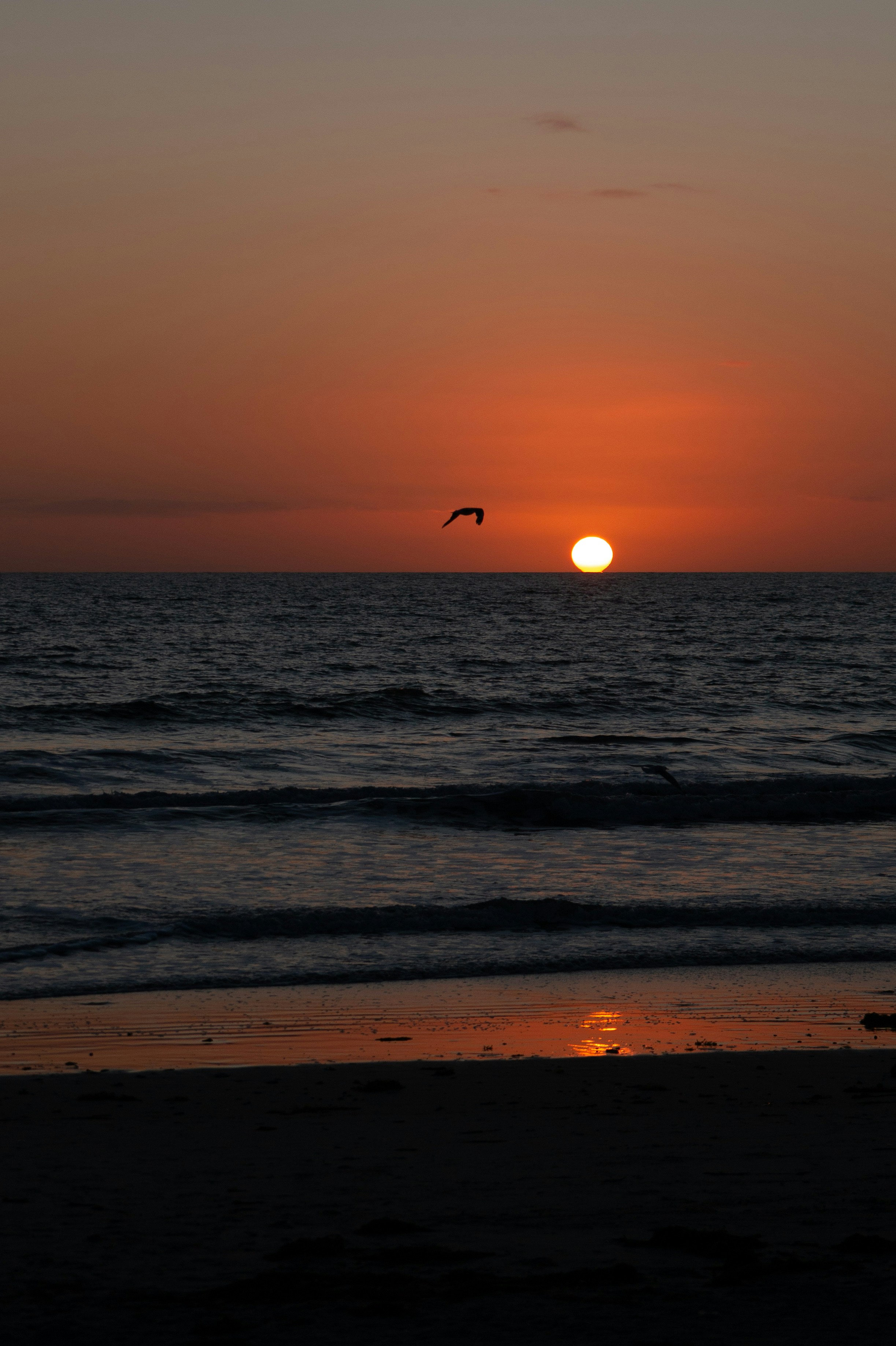 Photo by henriqueluis