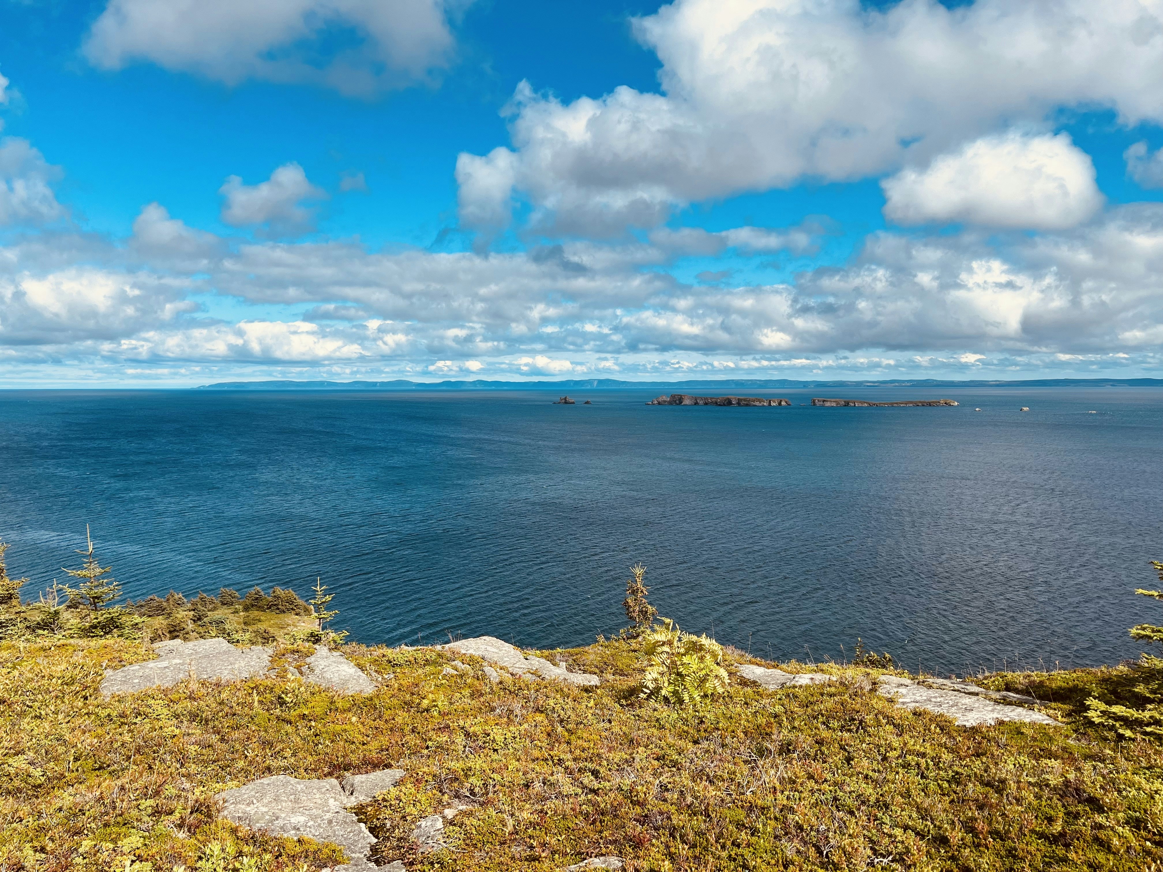 Photo by _backwoods_