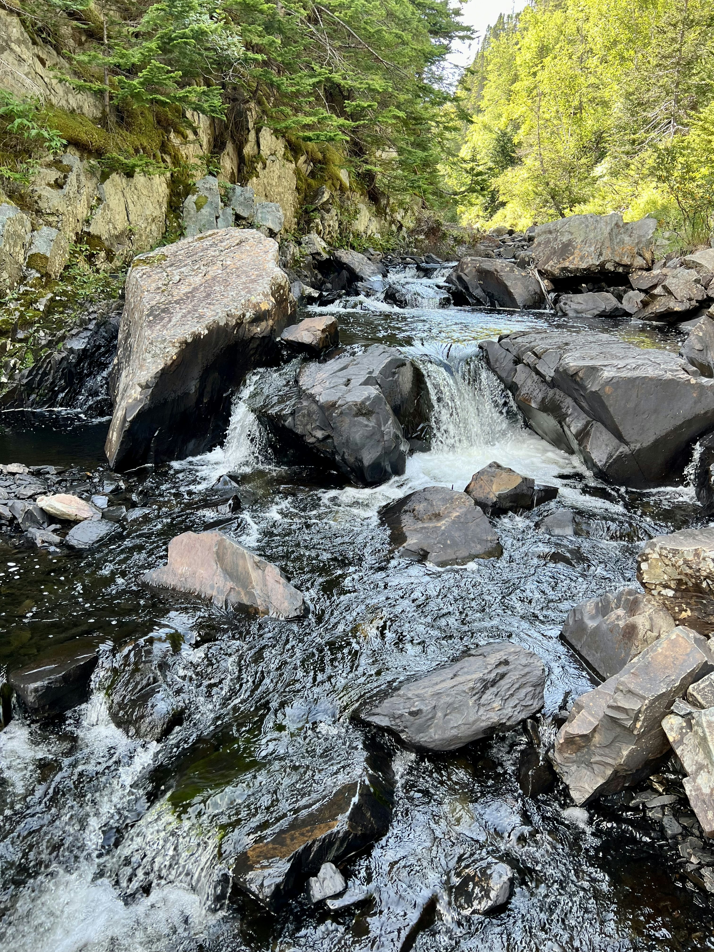 Photo by _backwoods_