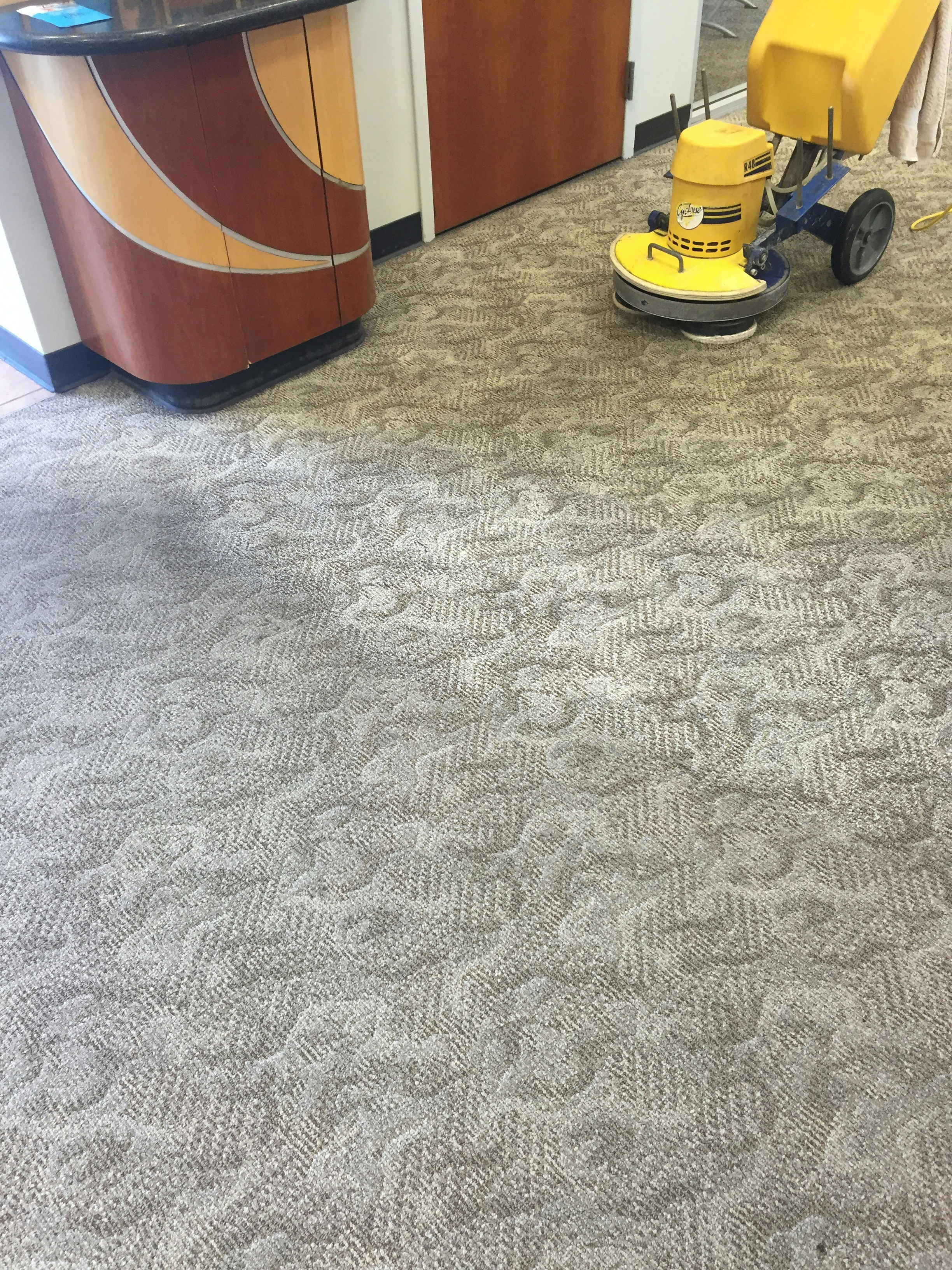 The Ultimate Guide to Steam Carpet Cleaning in Perth