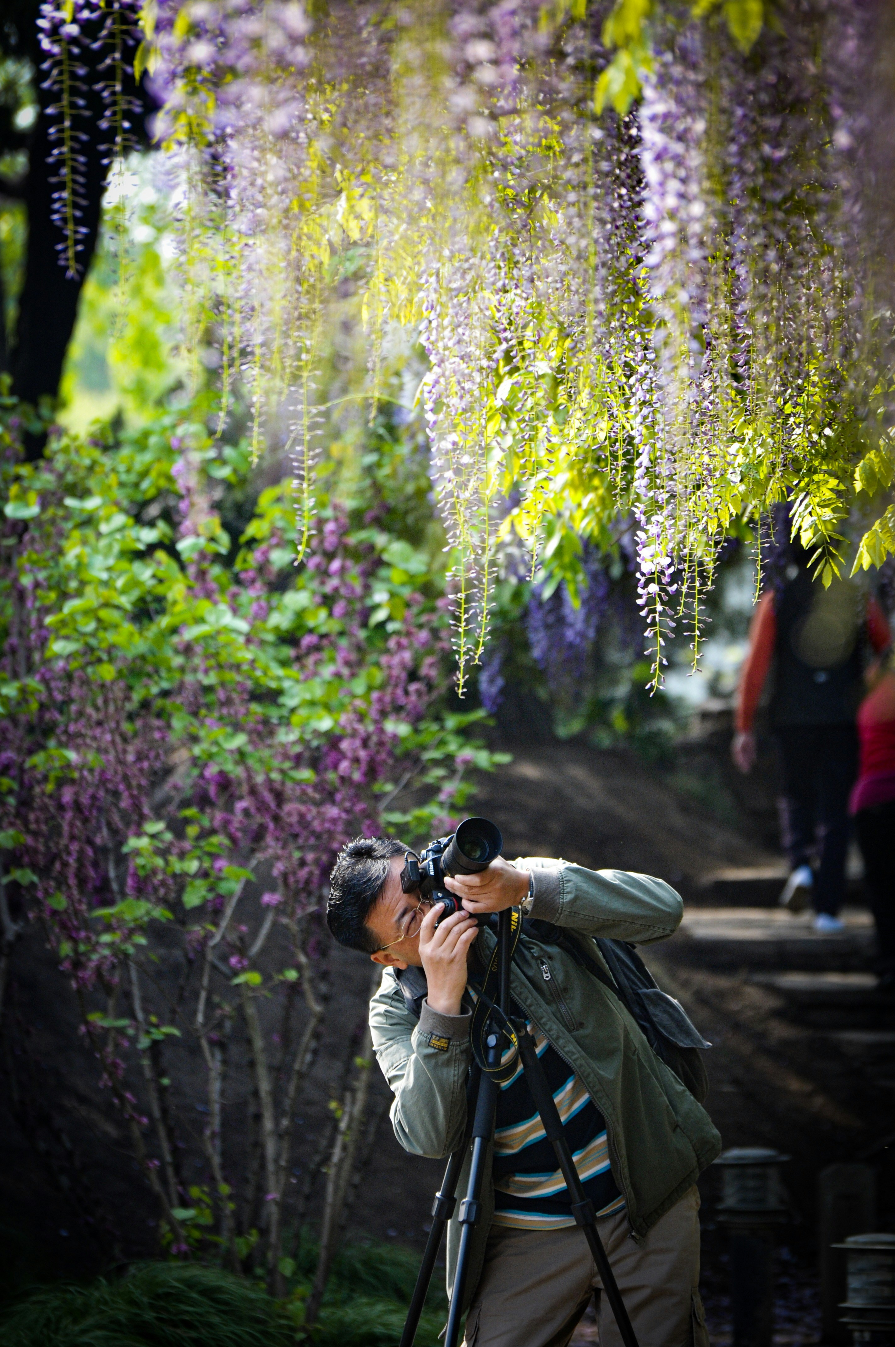 Fotografía de exteriores
