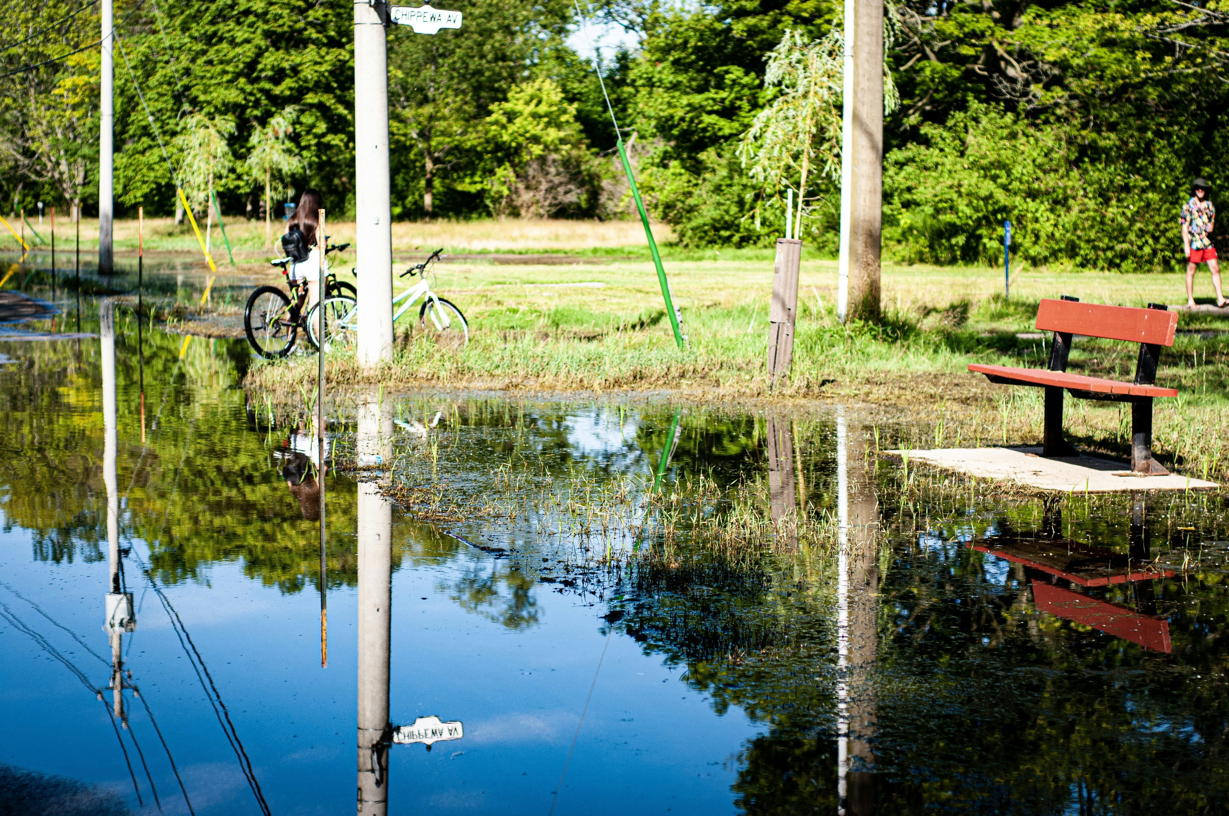 A park bench sitting next to a body of water photo – Free Pond Image on ...
