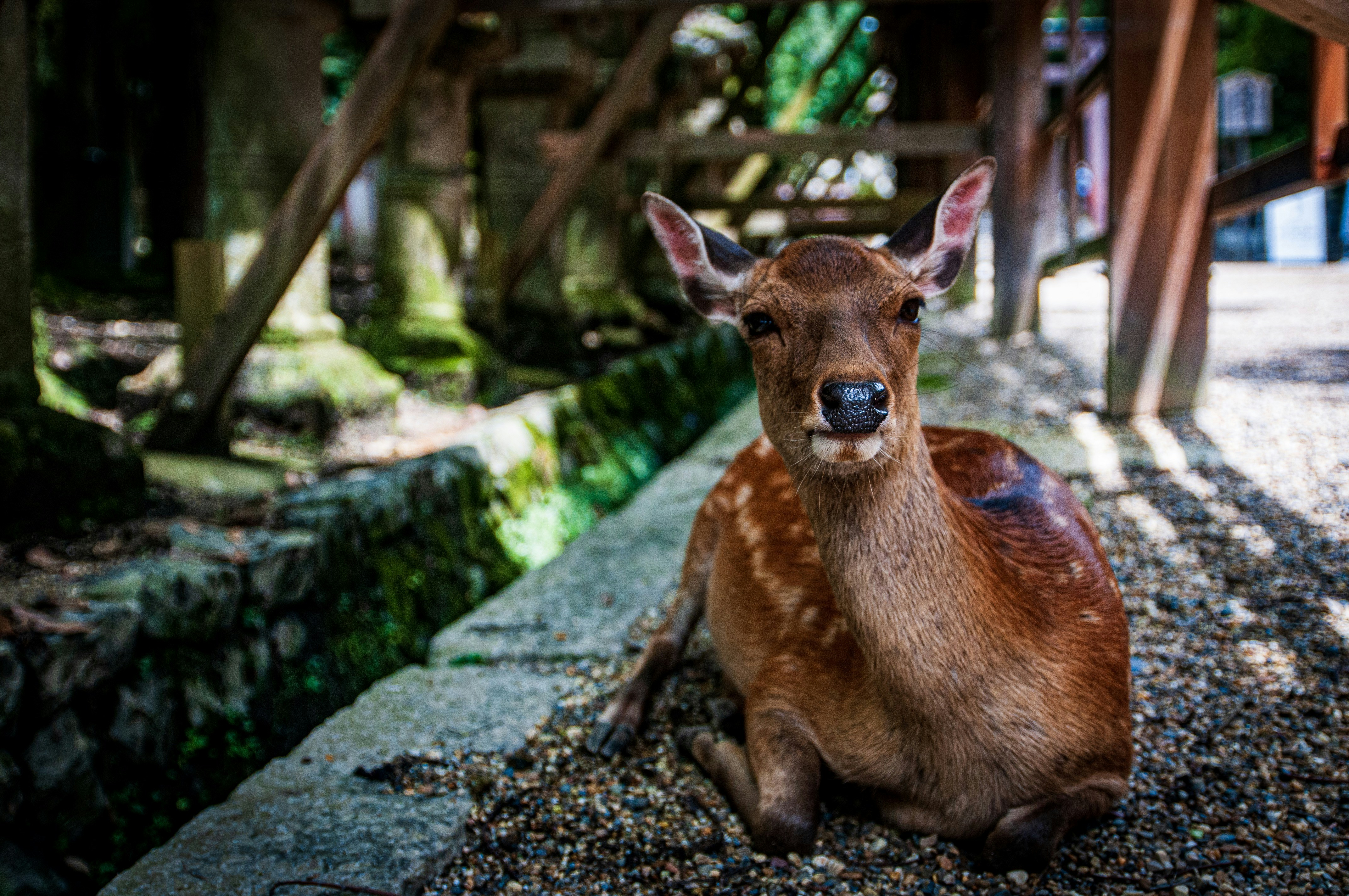 Photo by andy8647