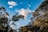 Trees with dense foliage are silhouetted against a bright blue sky with scattered fluffy clouds. A power line cuts diagonally through the scene, adding a contrast to the natural elements.