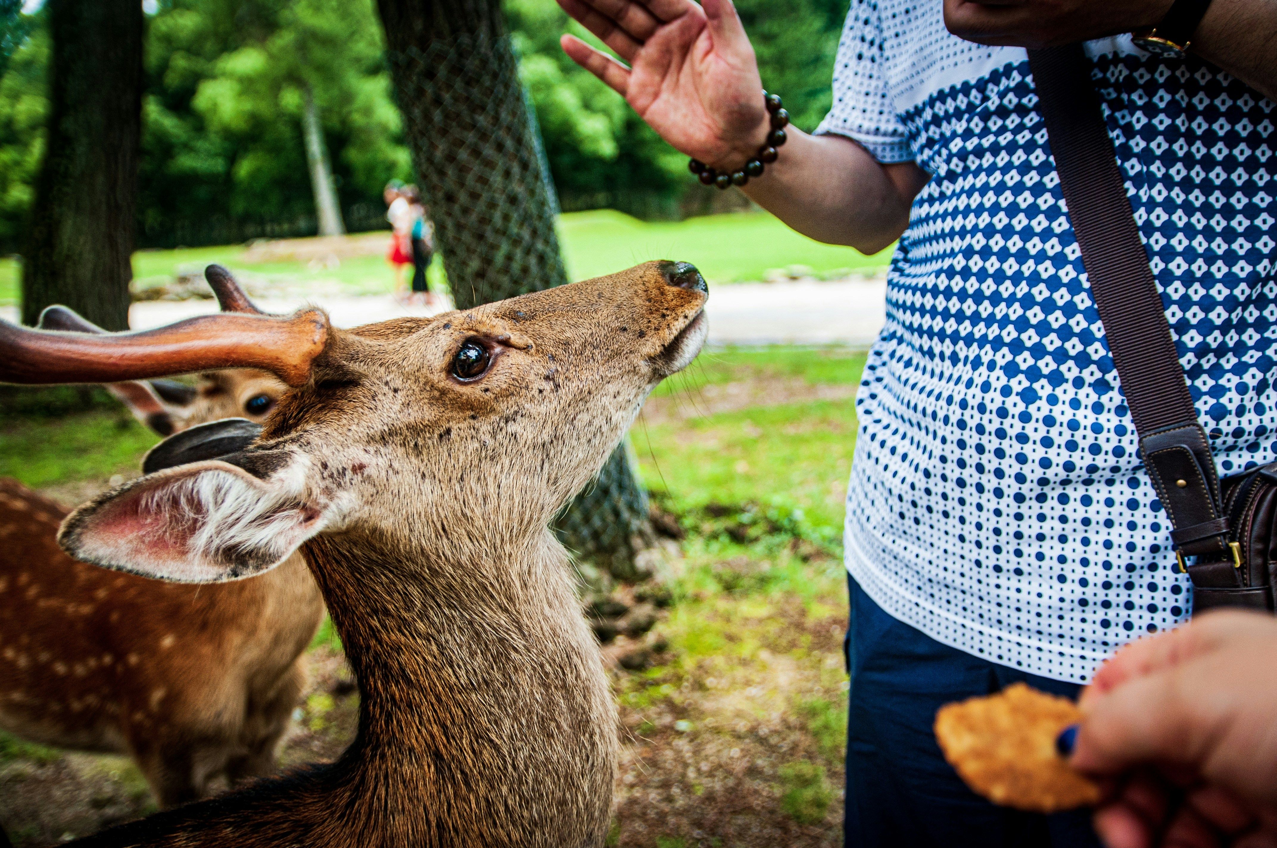 Public Perception and Acceptance Challenges (image credits: unsplash)
