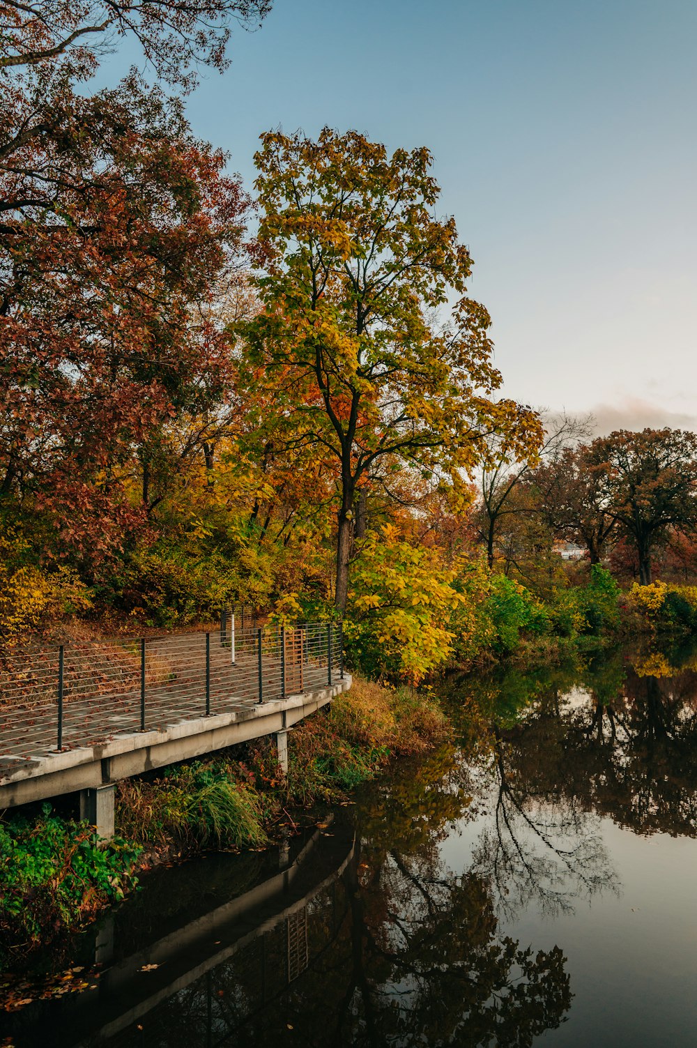 a bridge over a river surrounded by trees