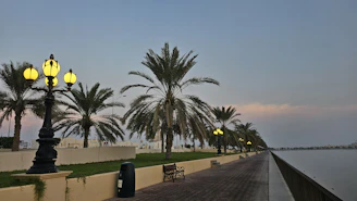 A serene waterfront promenade lined with palm trees and benches.