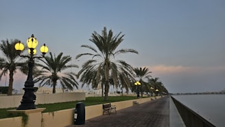 A waterfront promenade with carefully designed seating and natural vegetation.