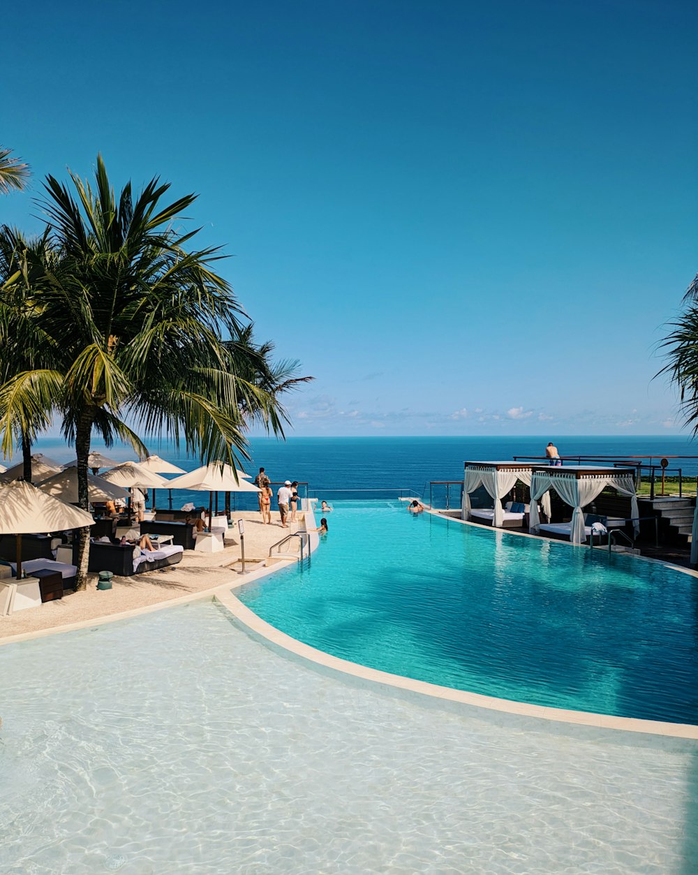 a large swimming pool surrounded by palm trees