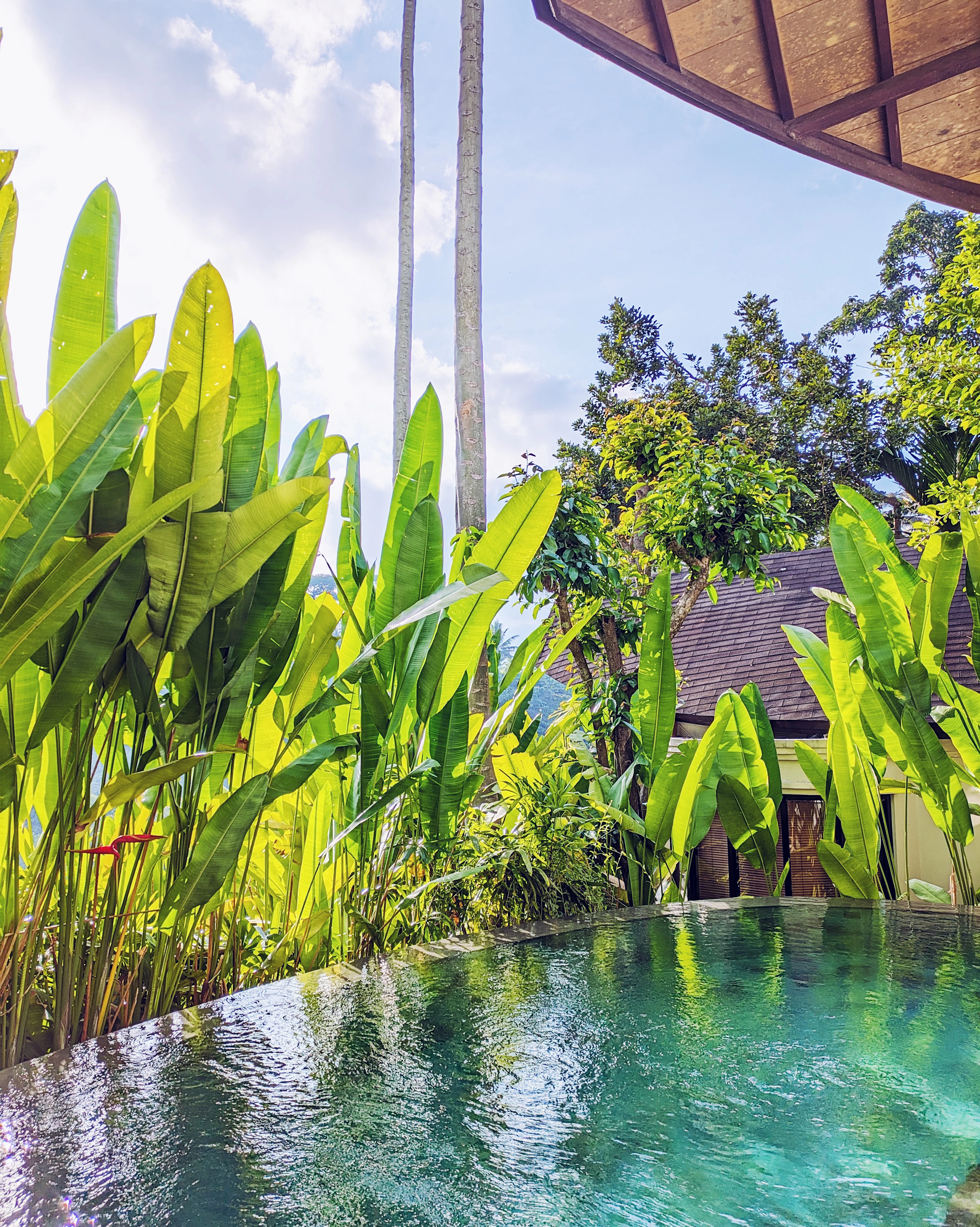 A resort infinity pool in Ubud edged with heliconia and banana leaves, its turquoise water reflecting the timber pavilions and jungle hillside behind.