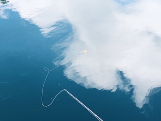 A screenshot showing a vibrant fishing scene in Russian Fishing 4 with detailed water reflections.