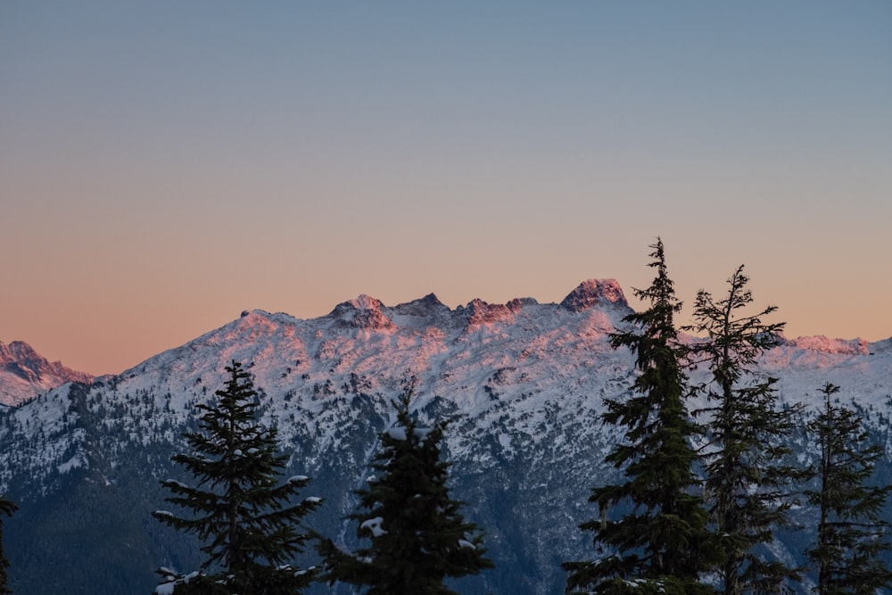 a view of a mountain range with trees in the foreground