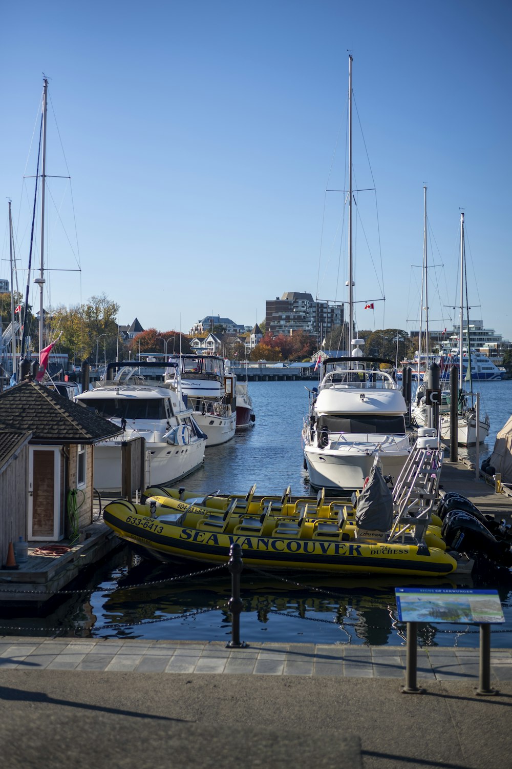 a harbor filled with lots of small boats