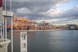 a large body of water with a bunch of cranes in the background
