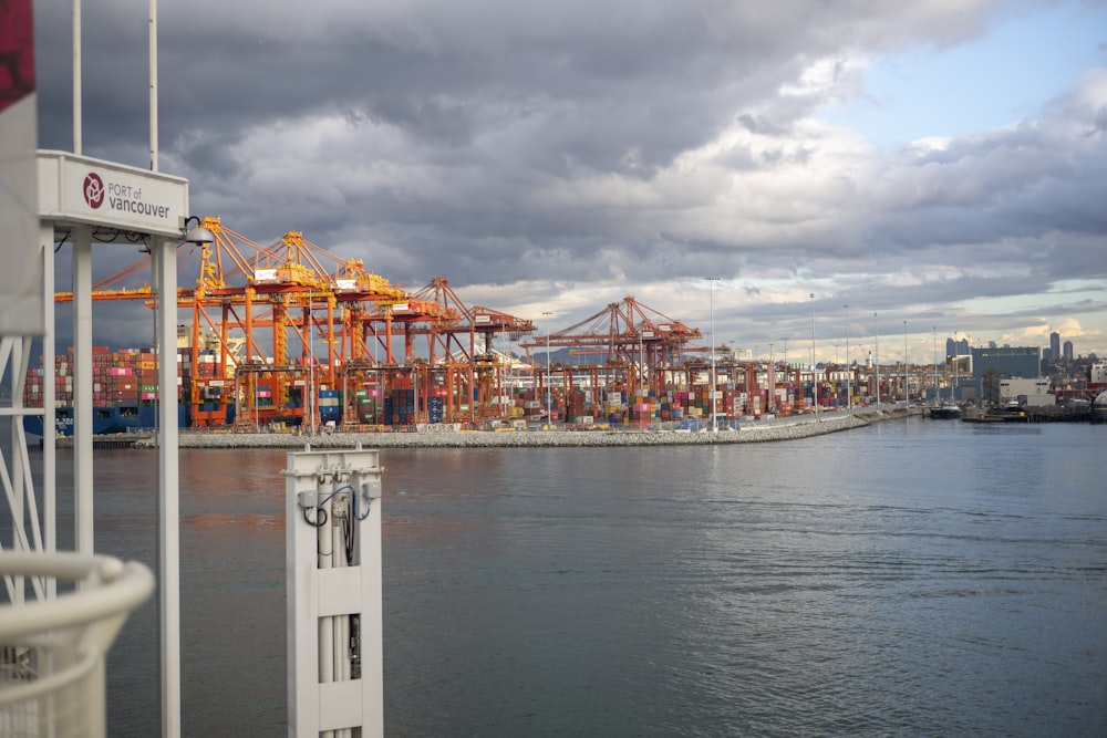 a large body of water with a bunch of cranes in the background