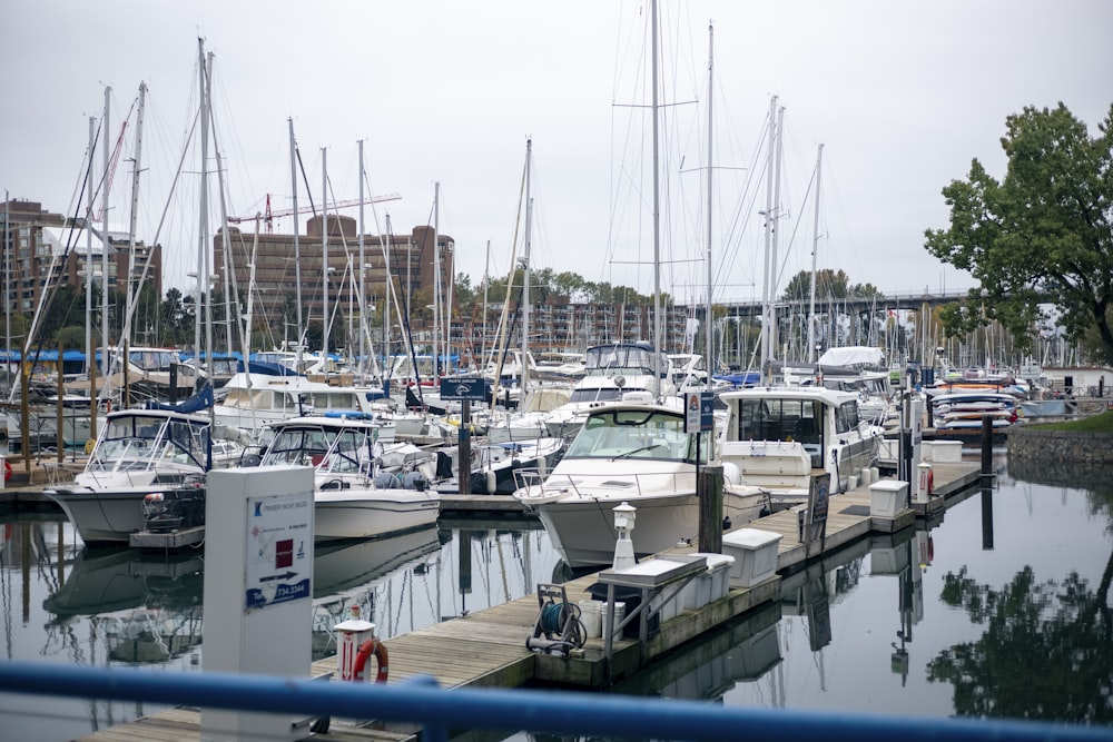 a marina filled with lots of boats on a cloudy day