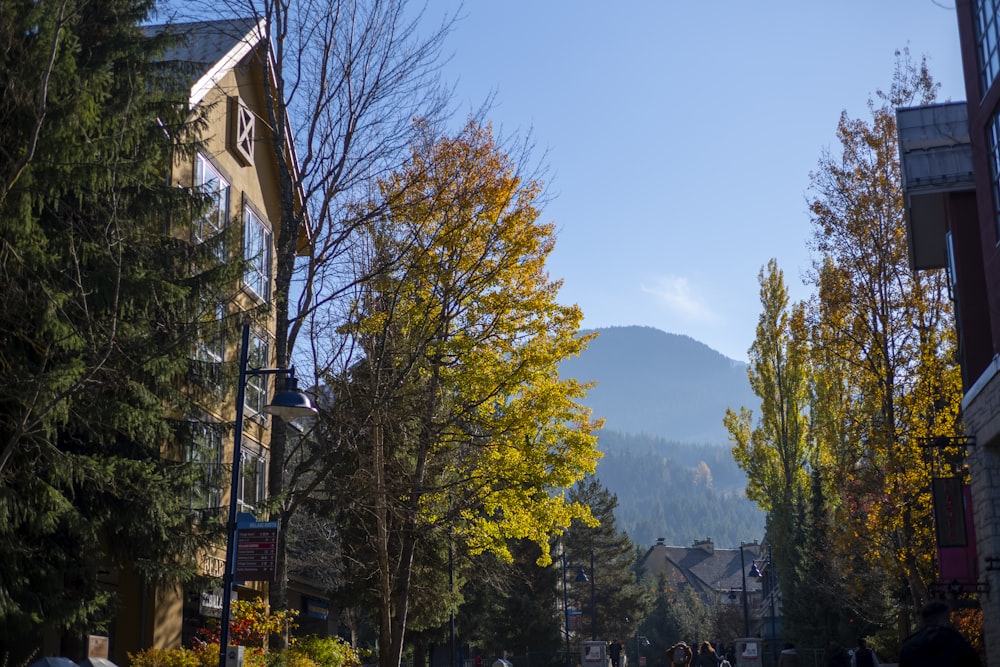 a city street with a mountain in the background