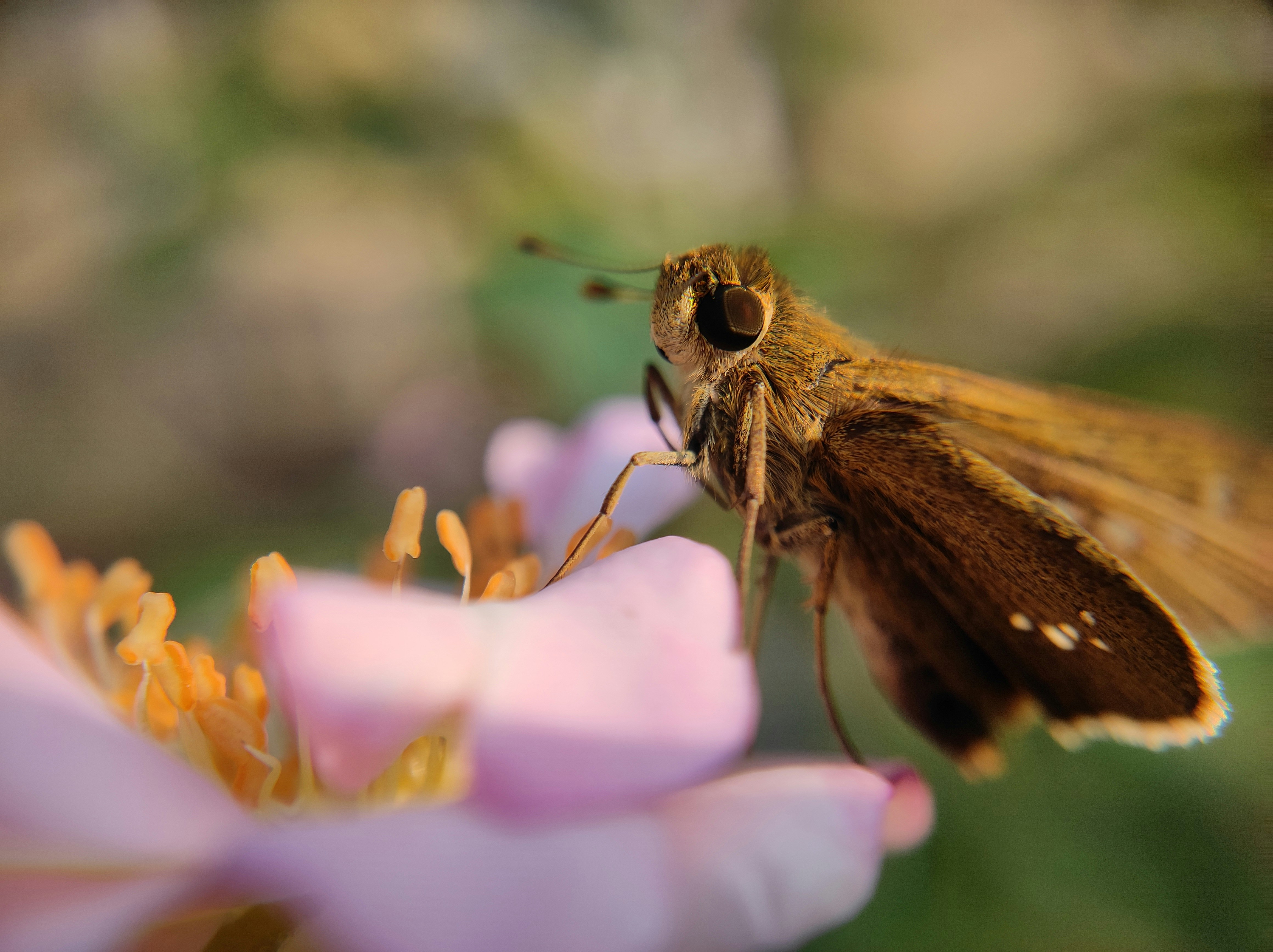 Photo by macrosam