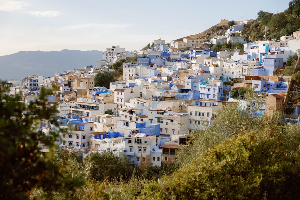 a very tall hill covered in lots of blue and white buildings