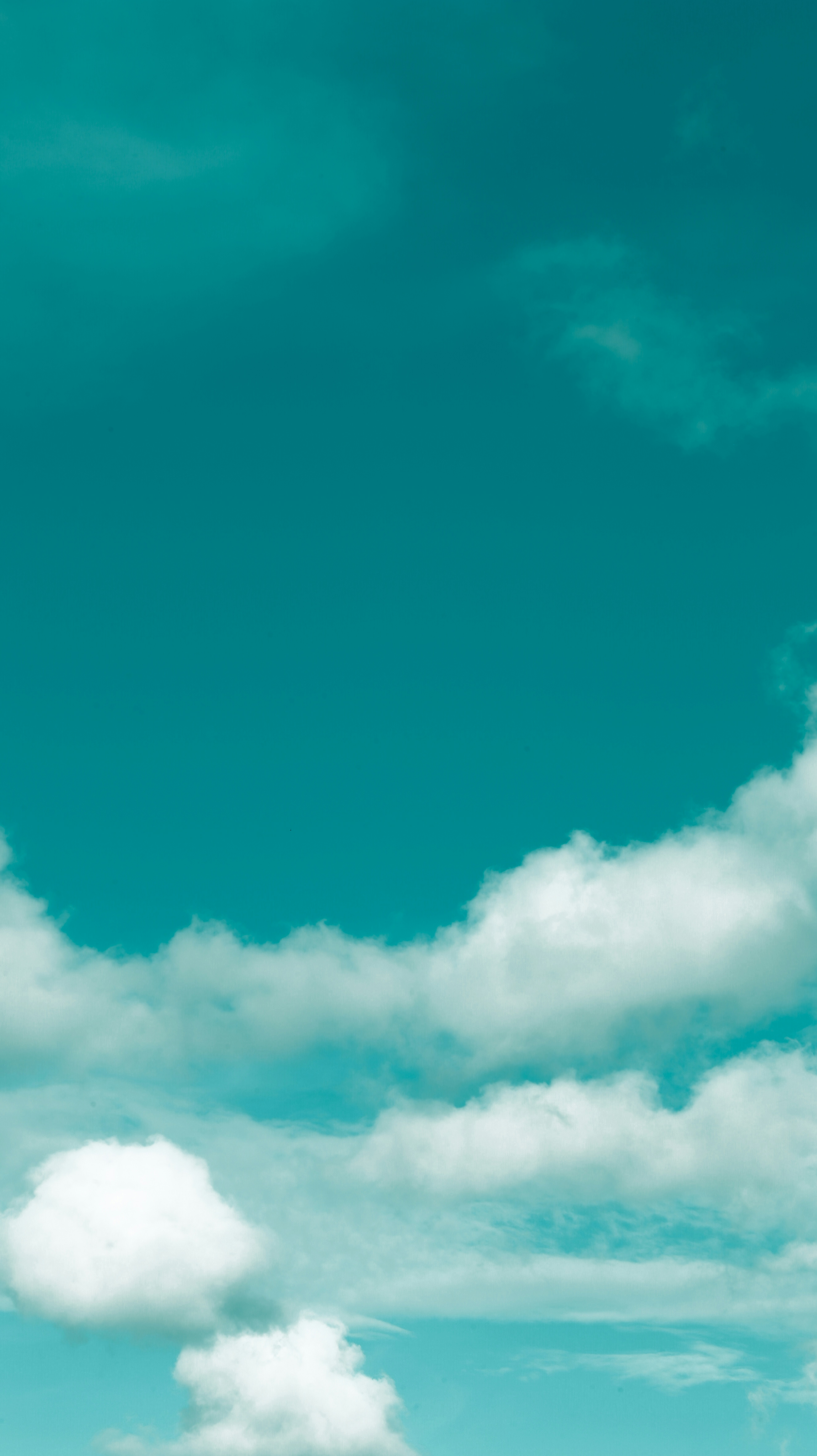 Photo by stevecameup