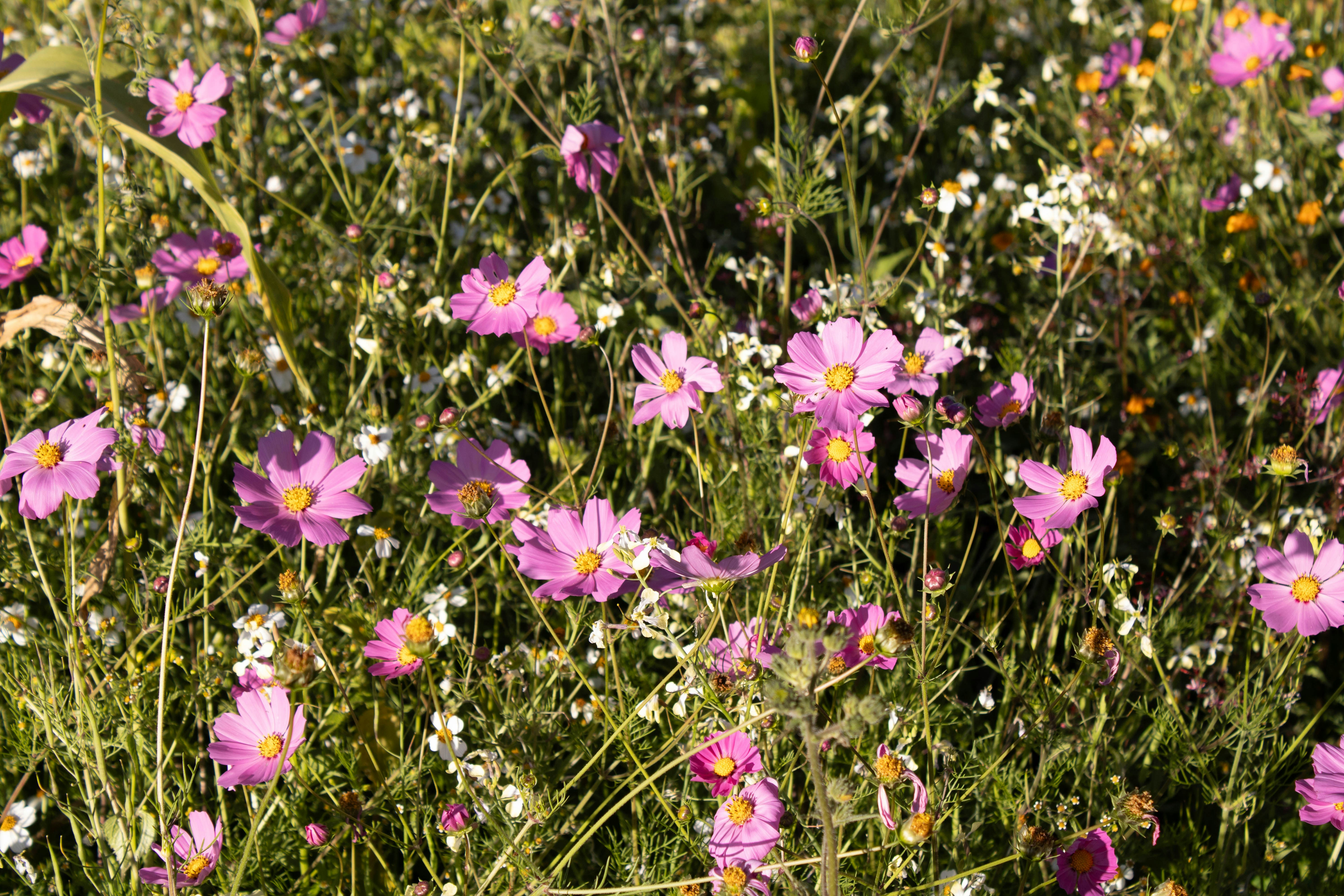 Photo by yasbarrientos_