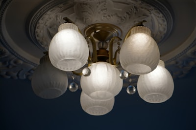 Sophisticated plaster ceiling medallion surrounding a chandelier.