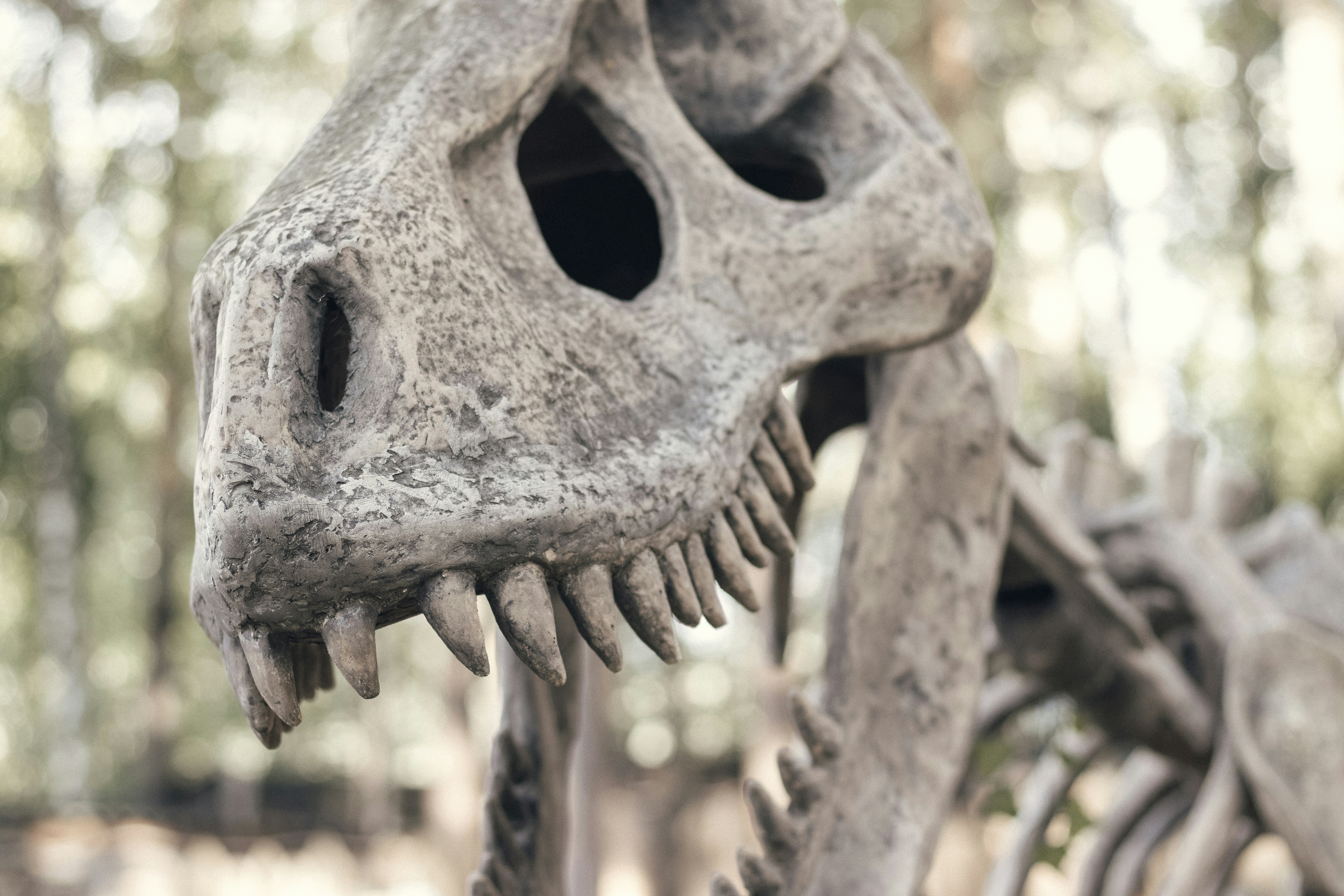 Photo by anastasiiakozlikina