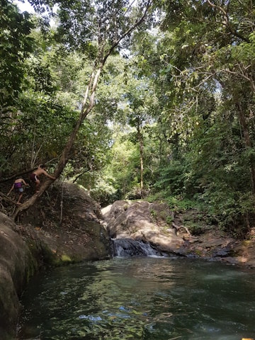 Children exploring a sunlit forest floor, hands touching moss and leaves with joyful curiosity.
