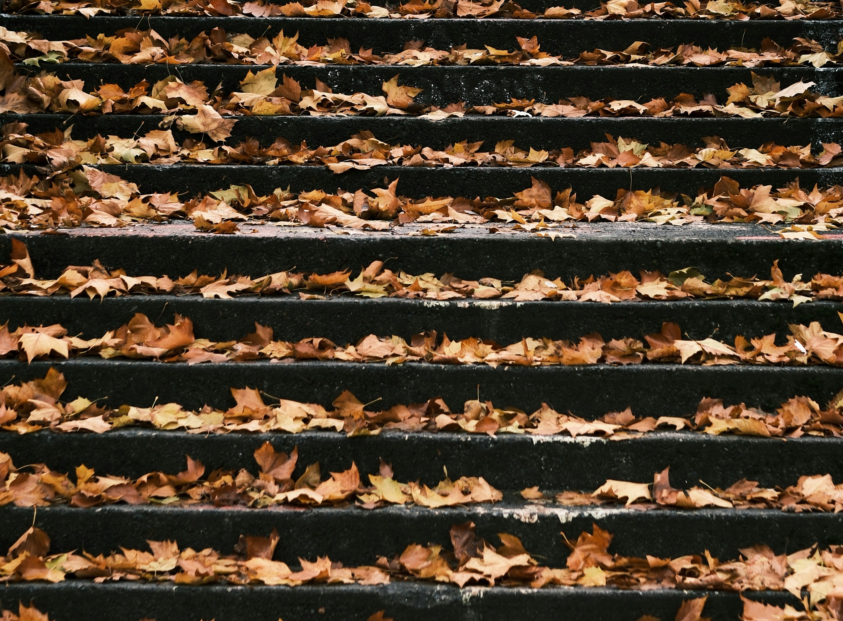 Photo by hiking_corgi