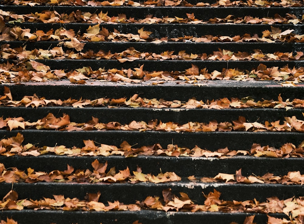 a bunch of leaves that are on some steps