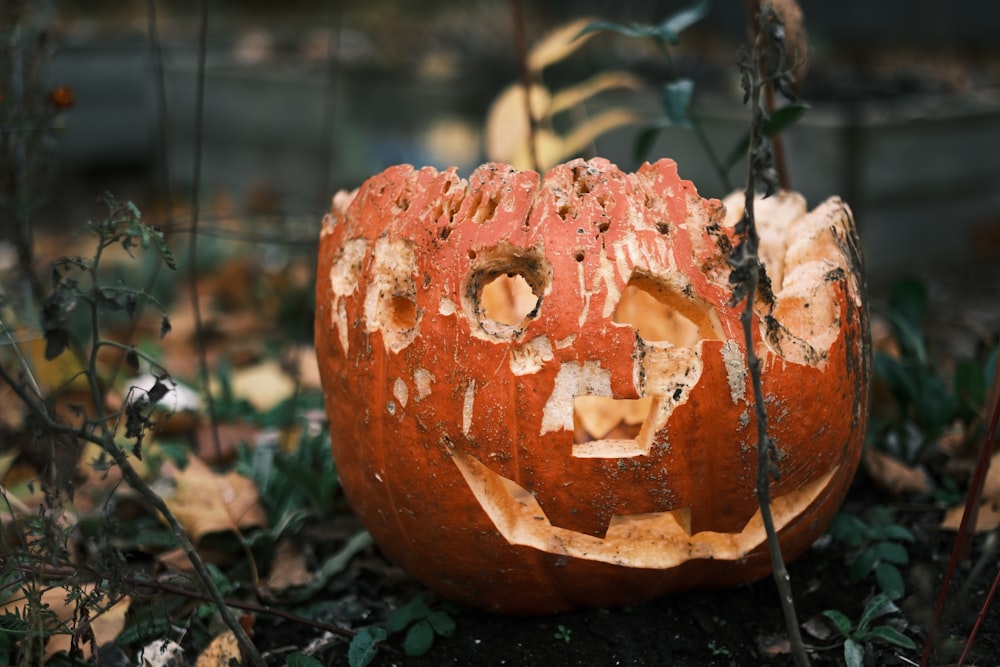 a pumpkin that has been carved to look like a face