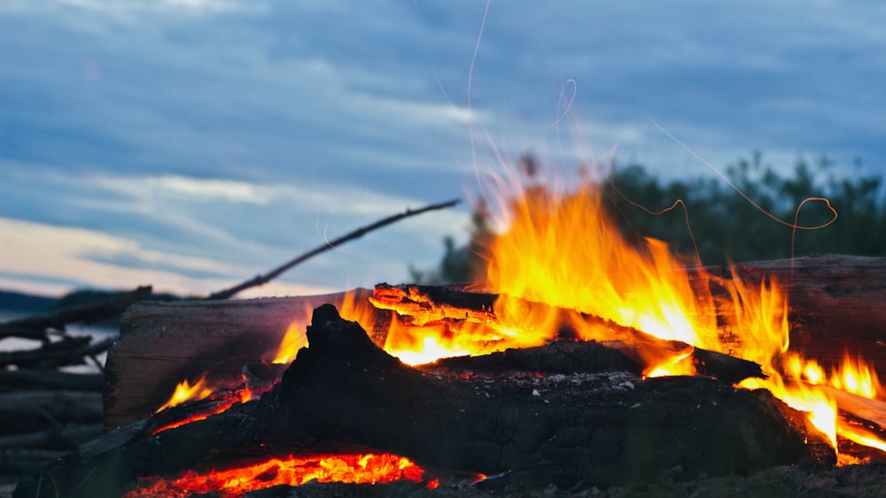 a close up of a fire in a field
