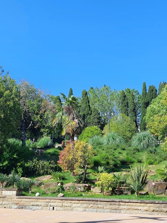 A vibrant display of various imported trees thriving in a lush garden setting.