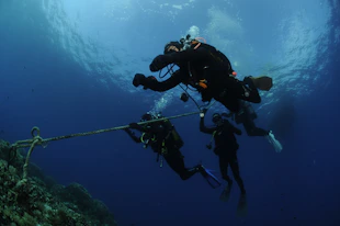 a couple of people that are in the water