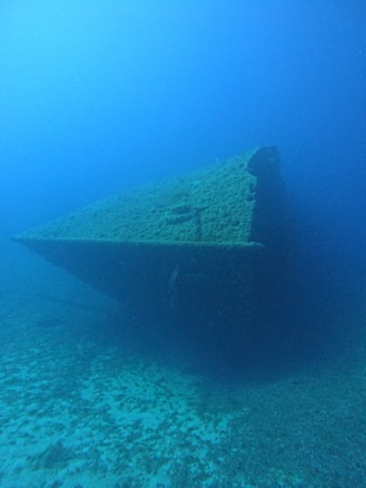A submerged shipwreck rests on the ocean floor, covered in marine growth. The hull of the ship is partially buried in the sand, indicating it has been there for a considerable time. The surrounding water appears calm and clear, with a blue hue dominating the scene.