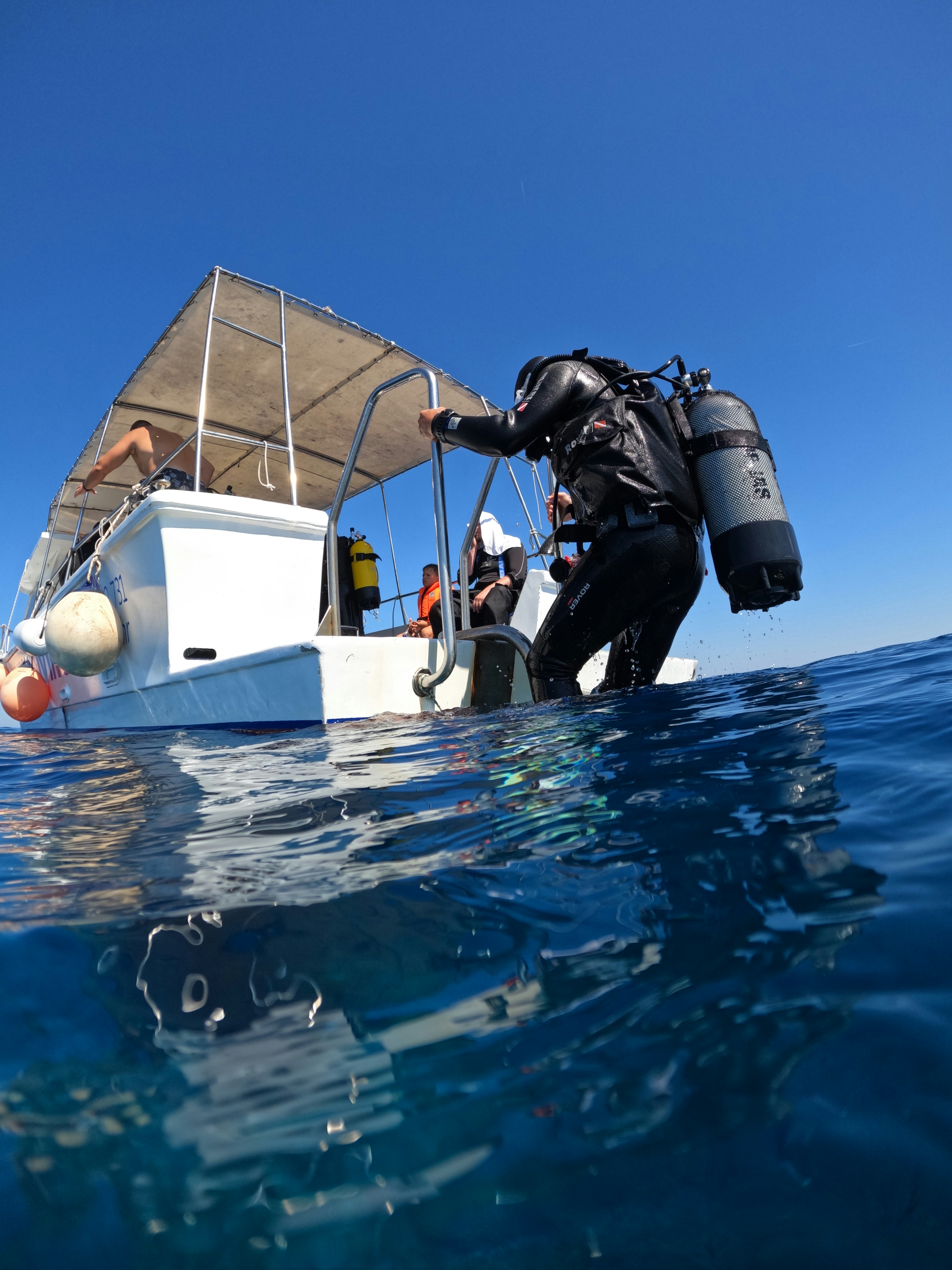 Scientific Research and Discovery (image credits: unsplash)