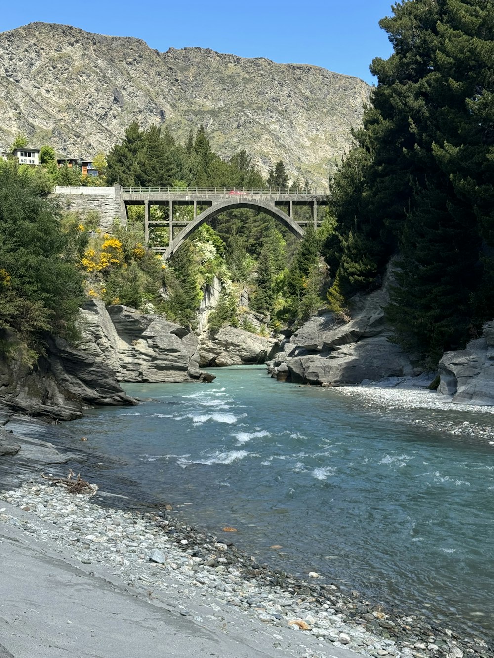 a bridge over a river next to a forest