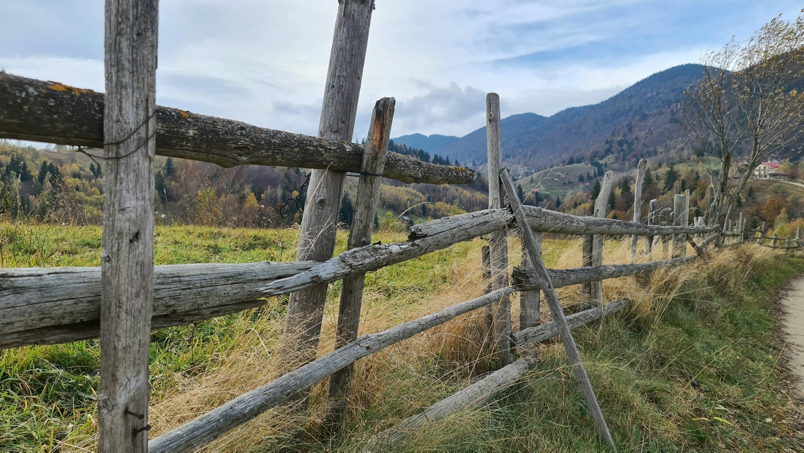 Rail and farm fence on the bigger properties