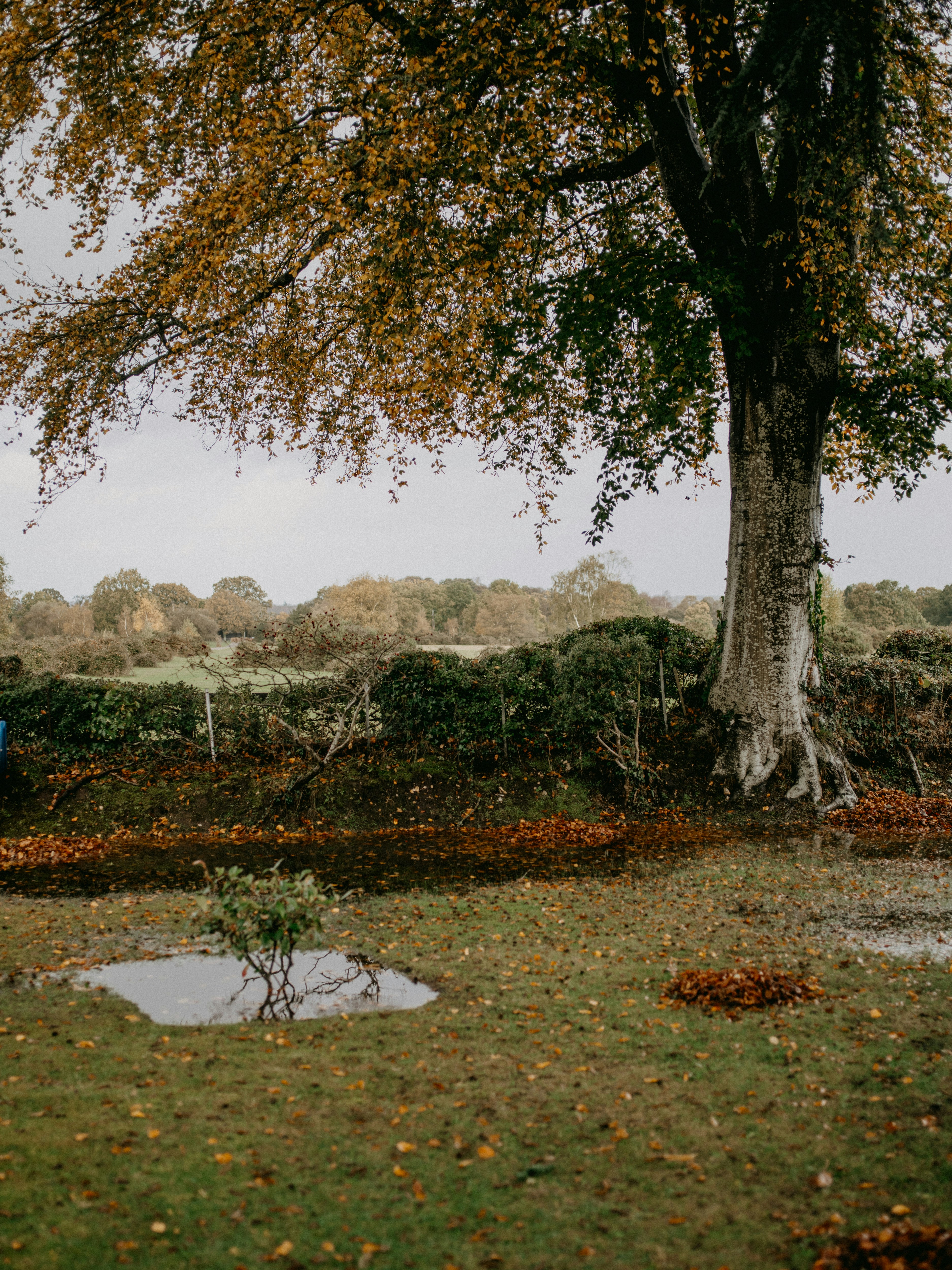Photo by anniespratt