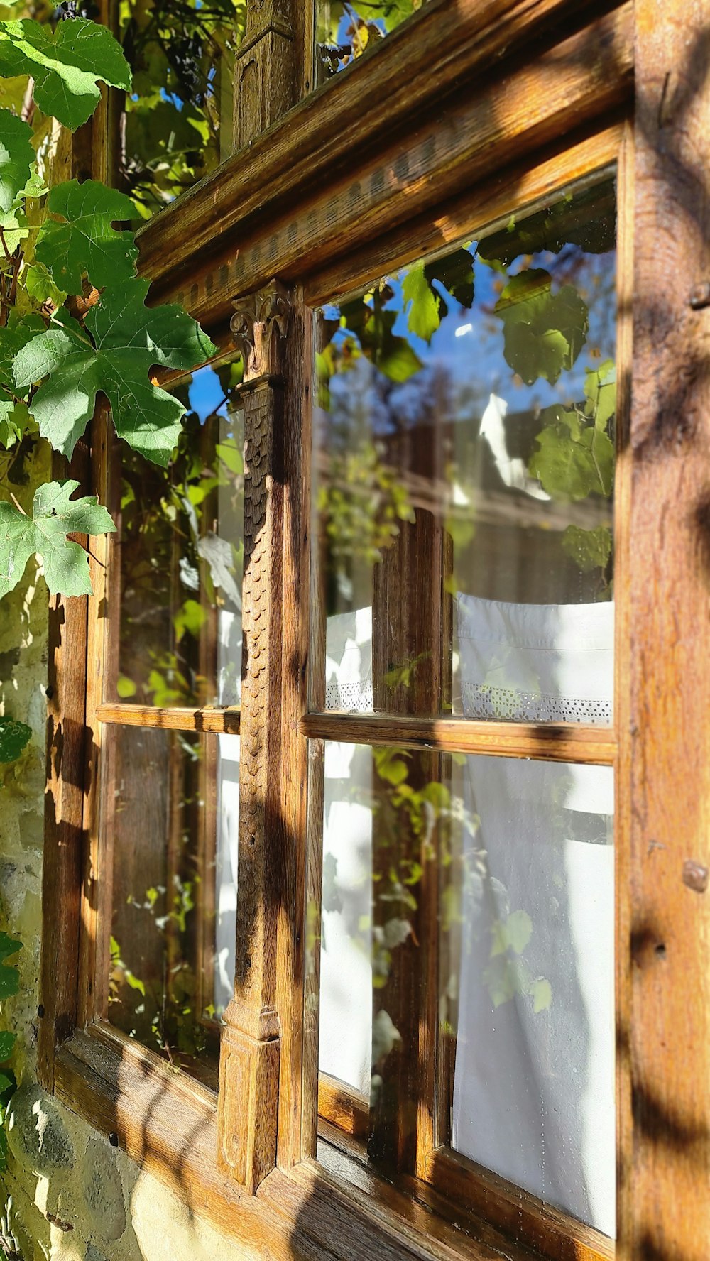 a window with a curtain and a window pane