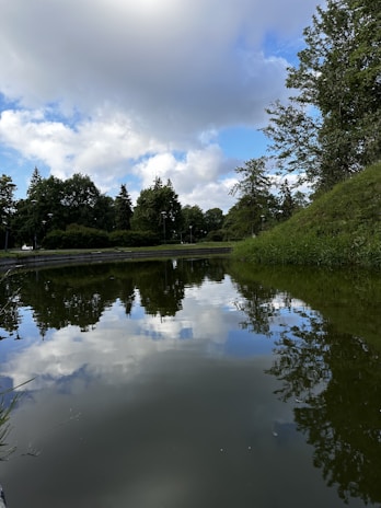 A serene pond reflecting the surrounding Ardennes trees under a cloudy sky