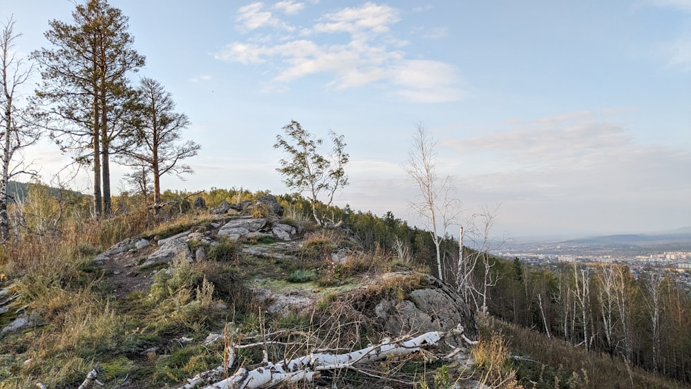 a rocky hill with trees on top of it