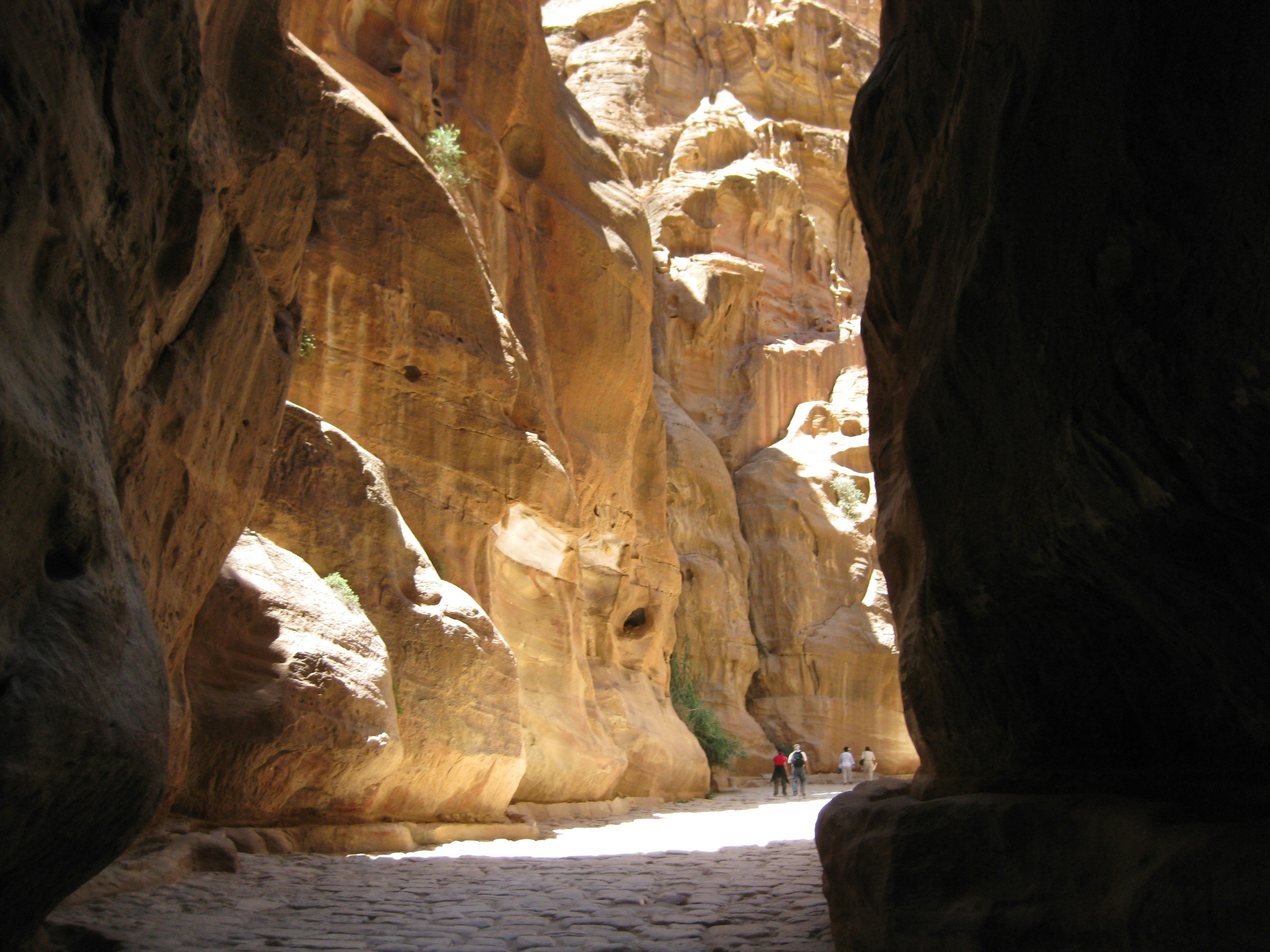 Photo by thehouseofthewitch