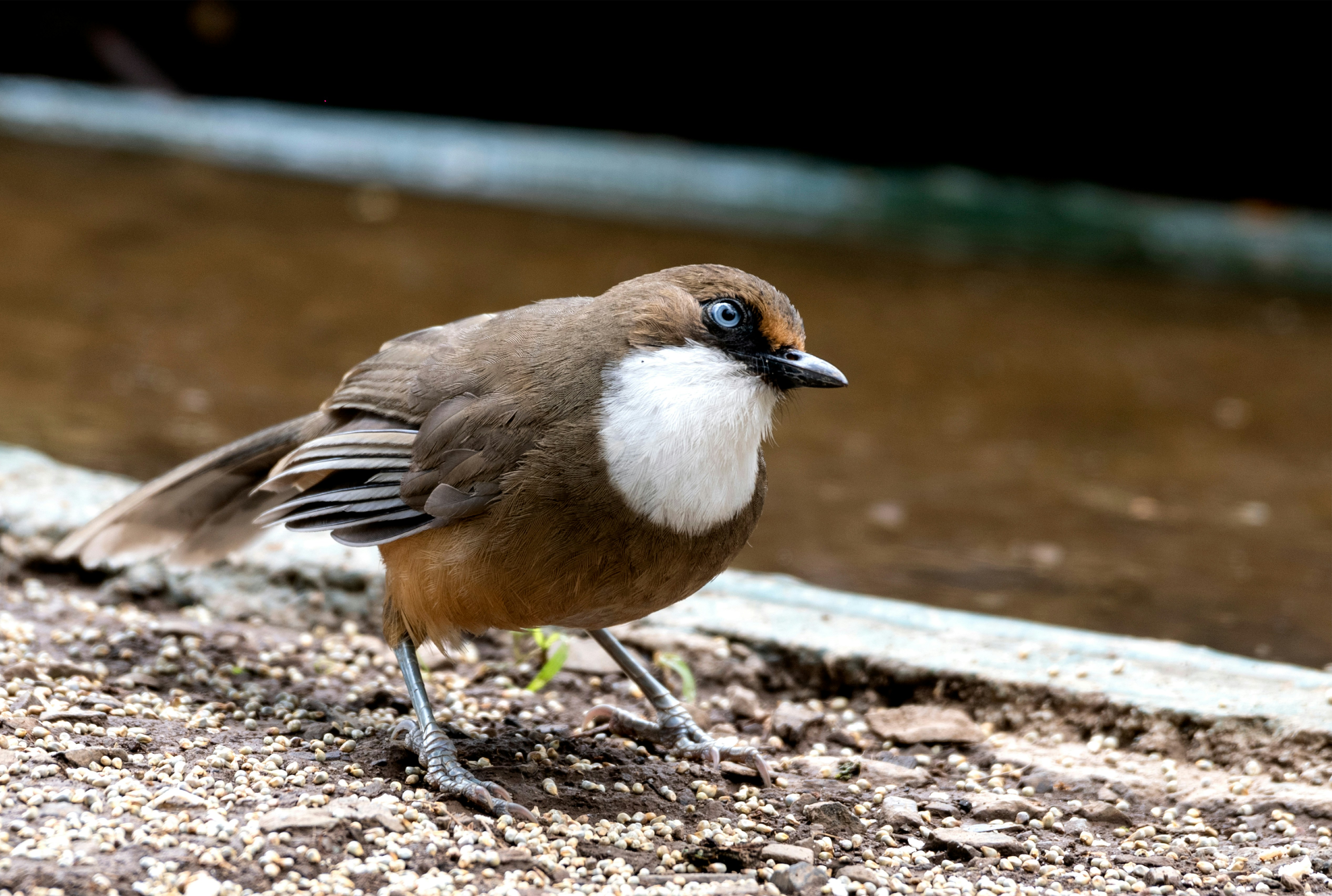 Photo by mhphotography13