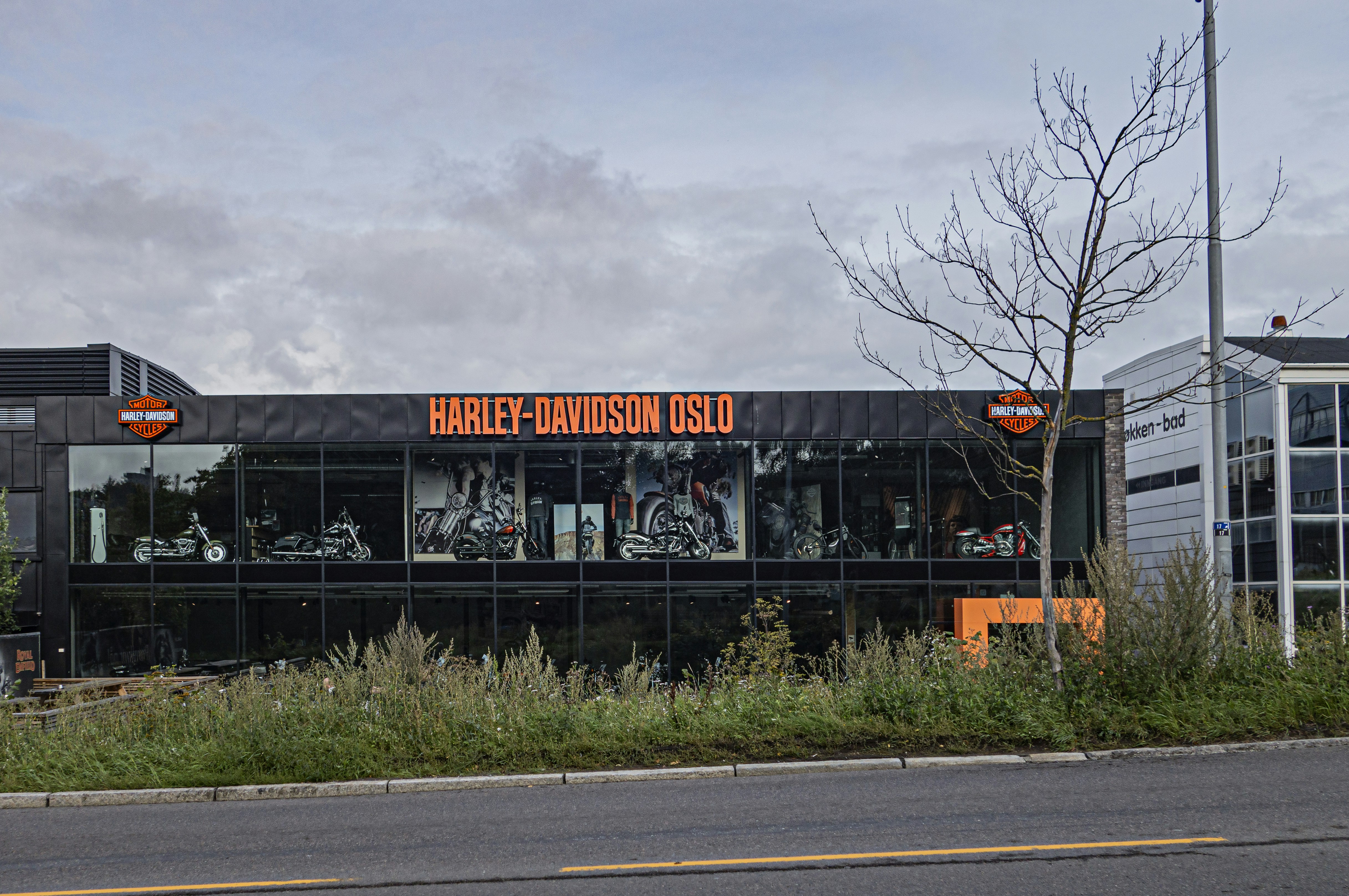 Premium Pre-Owned Powersports Vehicles