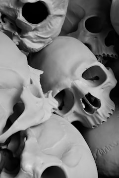 A collection of skulls arranged artistically on a table.