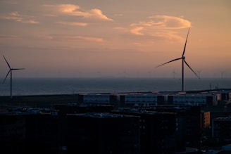 Wind turbines standing along the coastline during sunset, with a calm sea and a few scattered clouds overhead. Tall buildings are visible in the foreground, silhouetted against the colorful sky.
