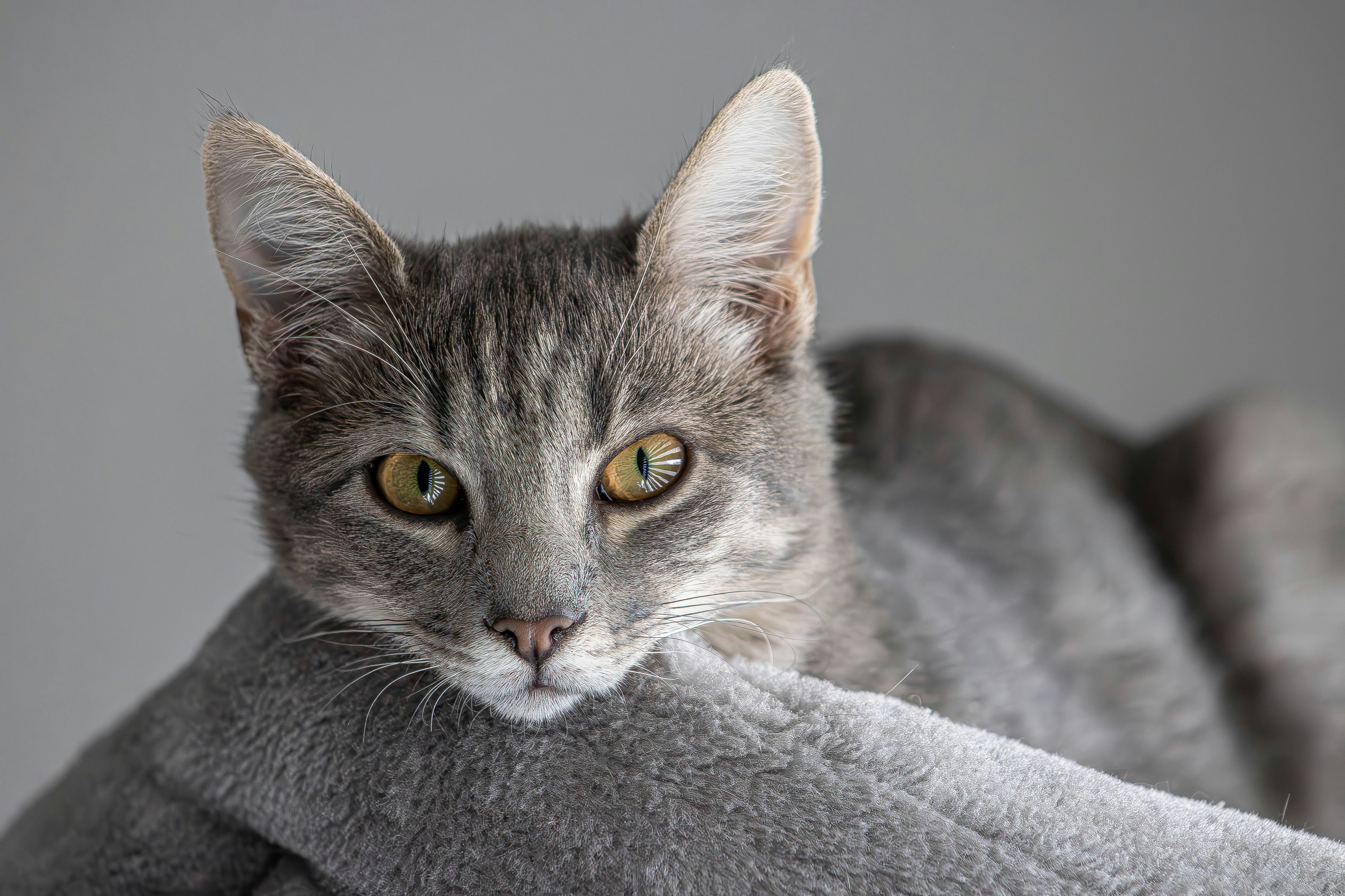 Photo by gstefanova22