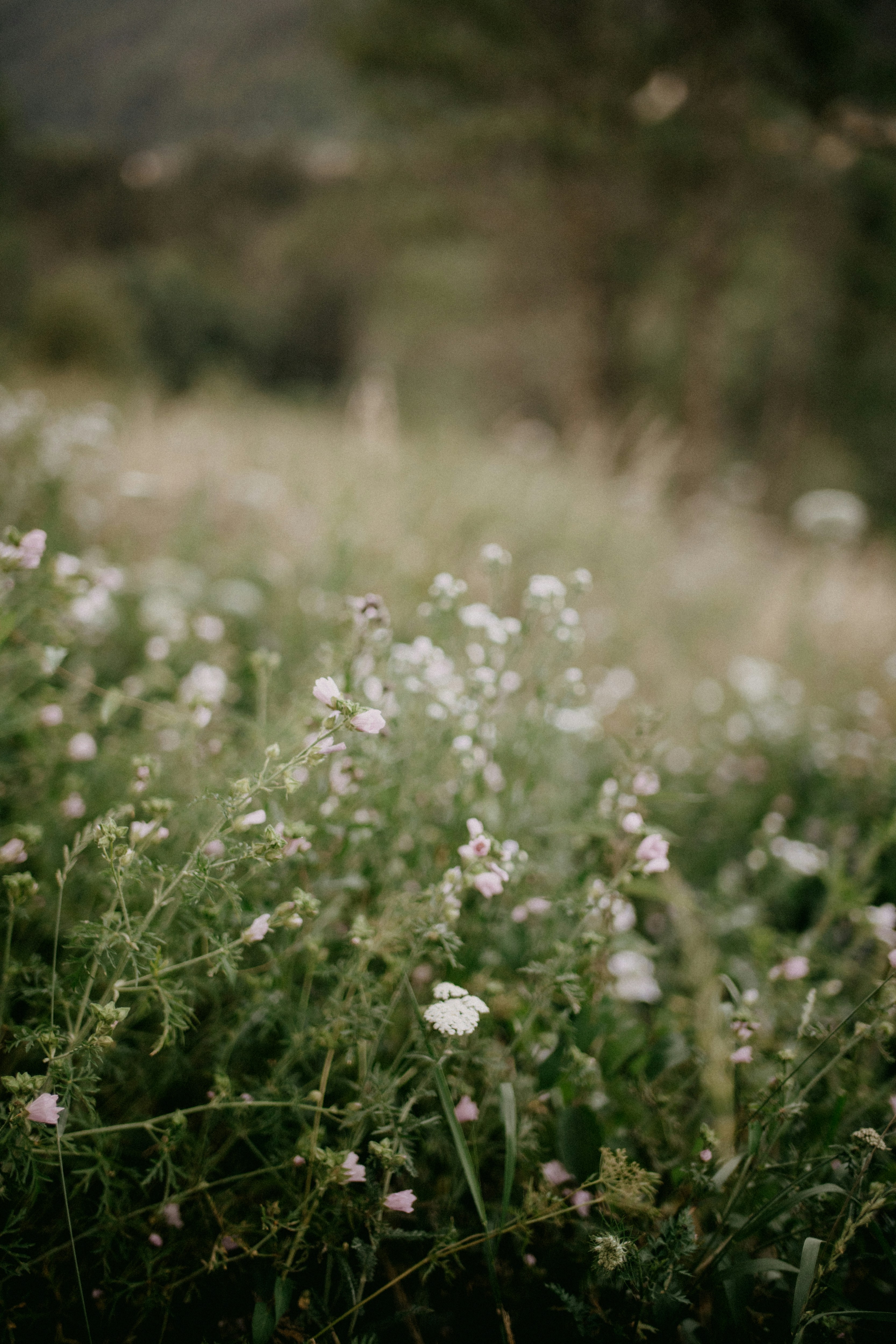 Photo by anniespratt